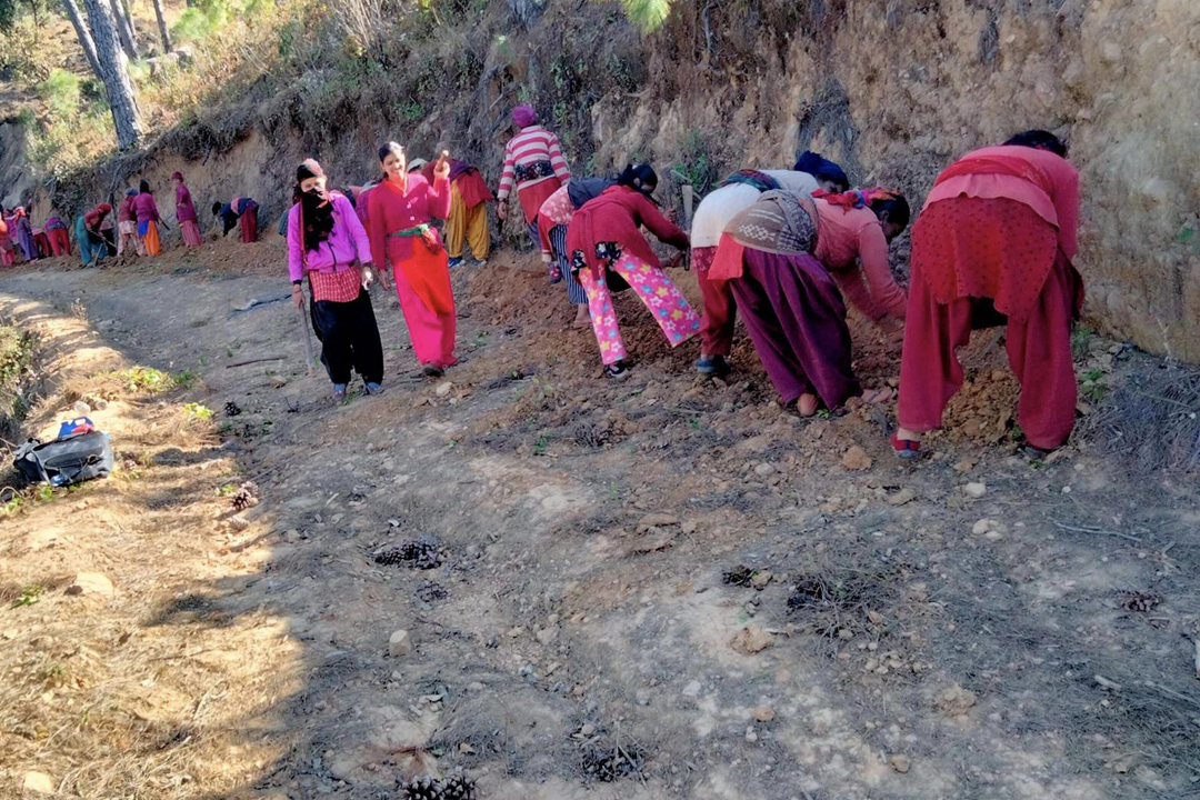 बैतडीमा विकास निर्माणका योजना हाँक्दै महिला 